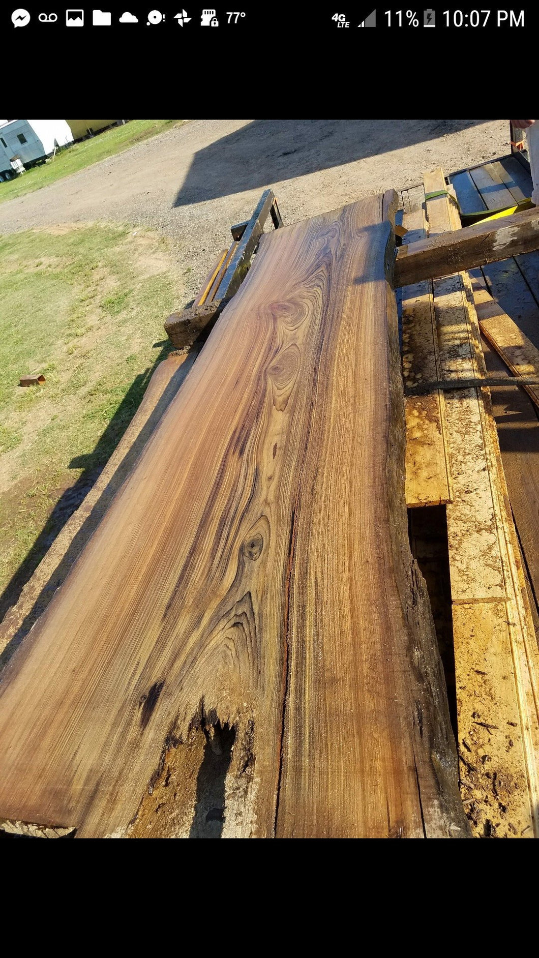 Live edge Sinker Cypress Wood Slab  (Priced per BF) (Pick up or call for custom shipping based on size)