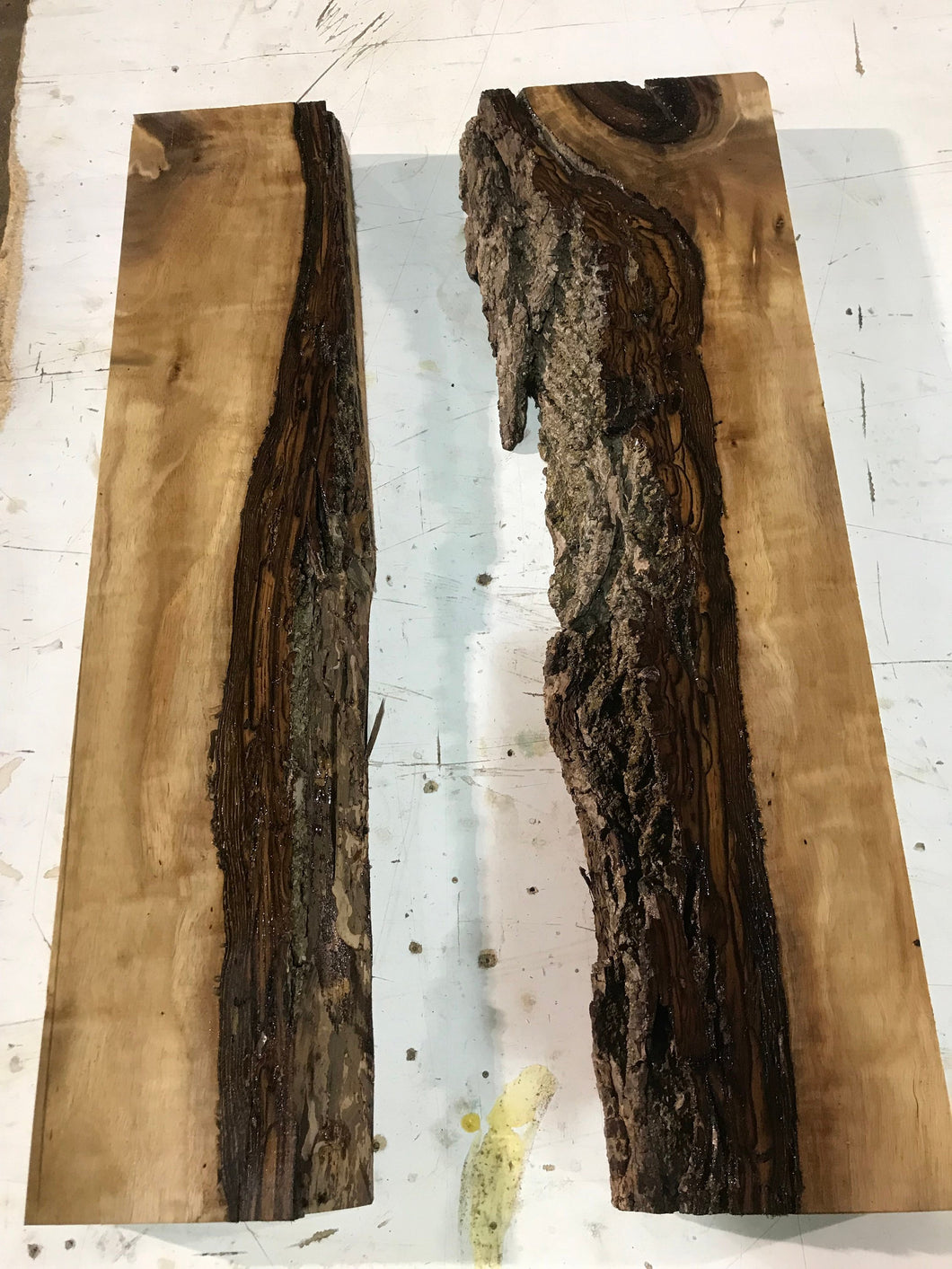 Pair of Live edge Walnut