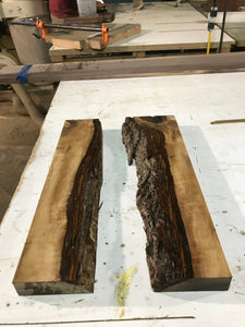 Pair of Live edge Walnut