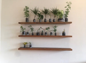 Set of 3 Floating Shelves